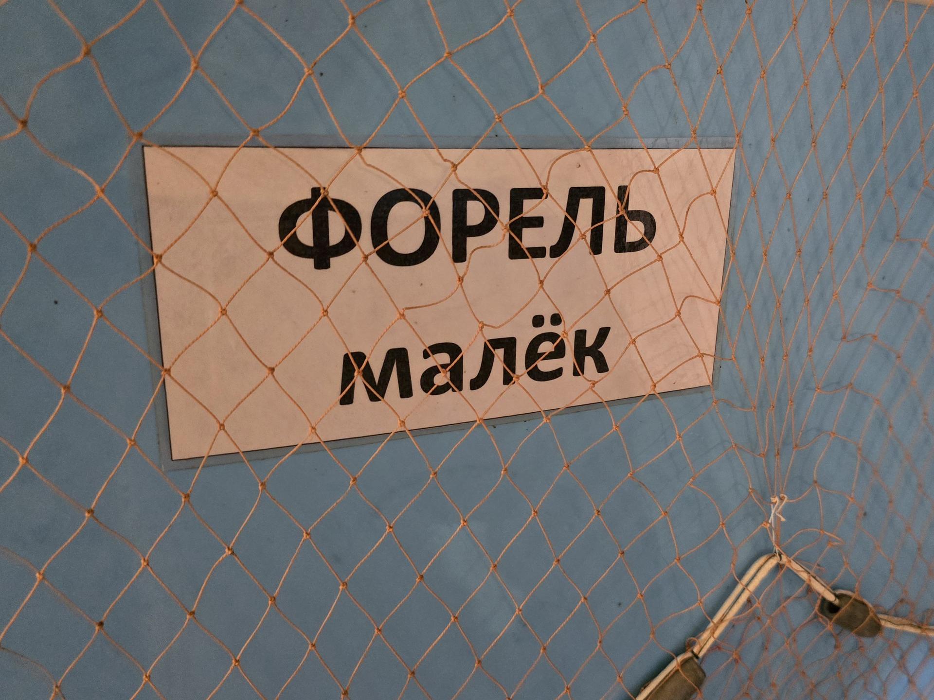 Фото: Марина Анисимова