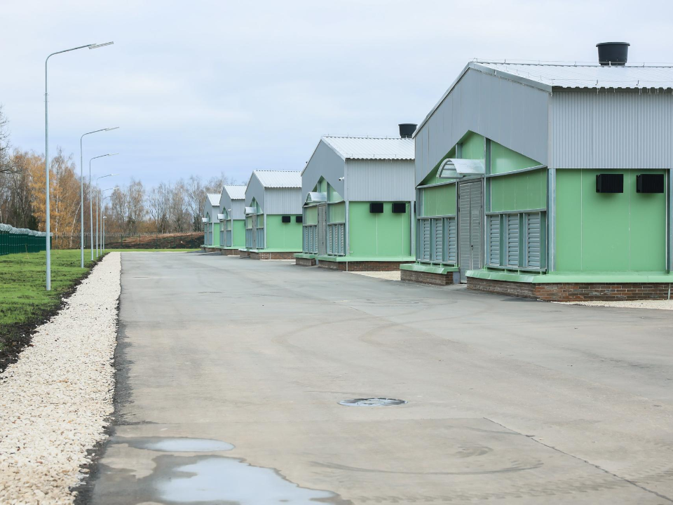 Фото: медиасток.рф