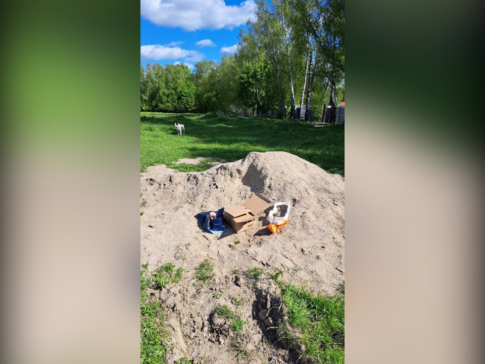 Фото: группа волонтеров ЖК «Пригород Лесное»