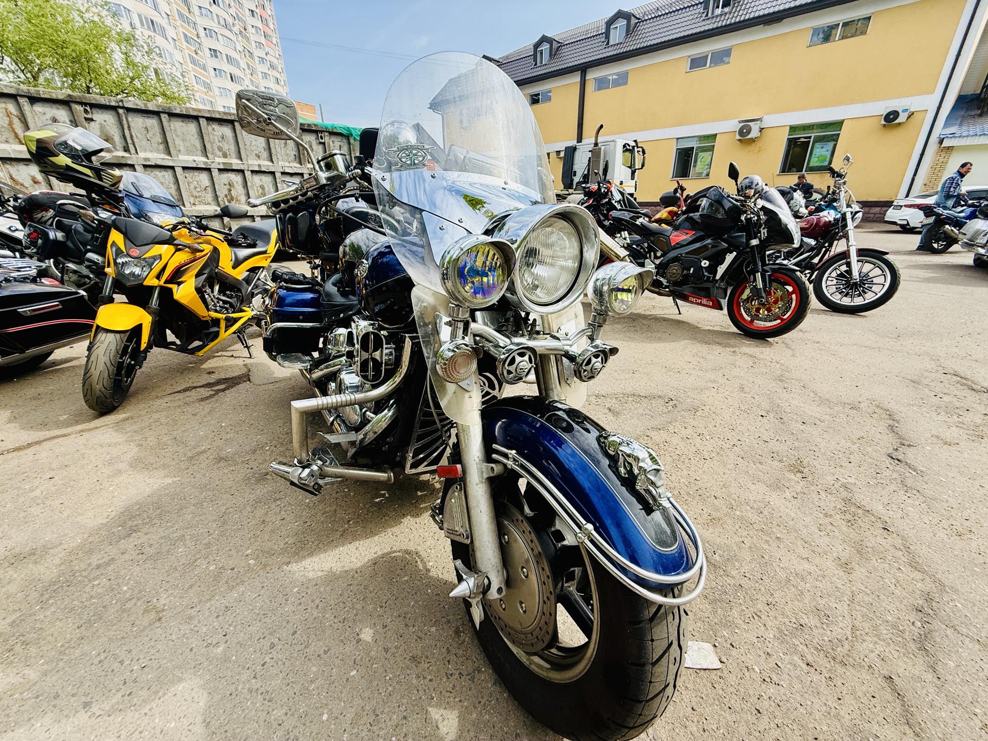 Фото: Ольга Стаферова