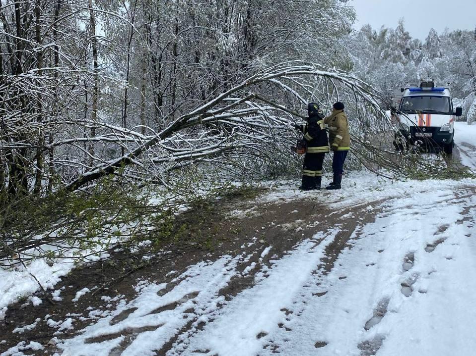 Фото: ГКУ МО «Мособлпожспас»