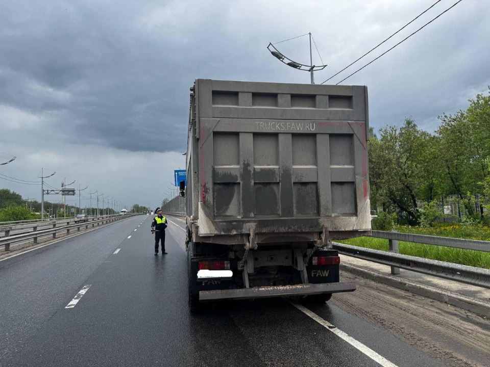 Фото: Министерство экологии и природопользования Московской области