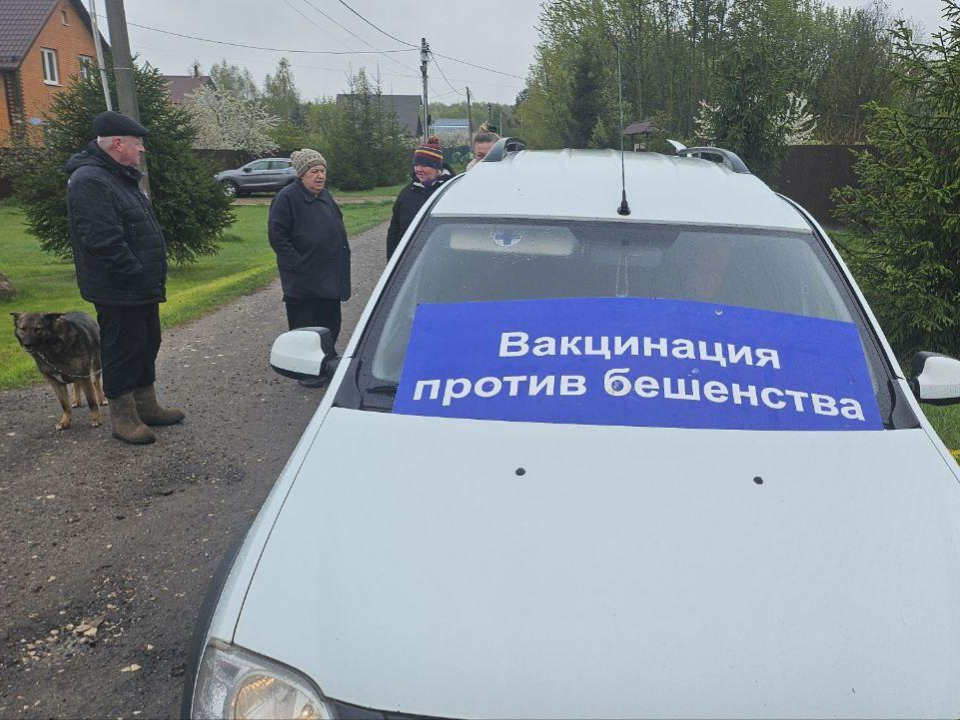 Фото: Анна Нестерова