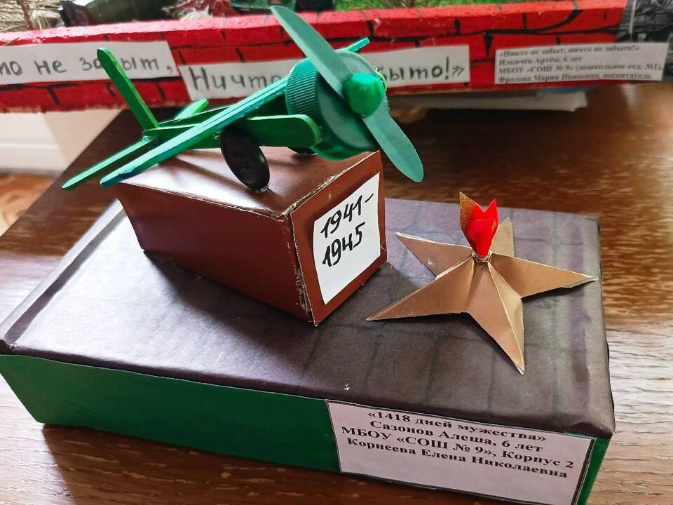 Фото: пресс-служба администрации г.о. Кашира