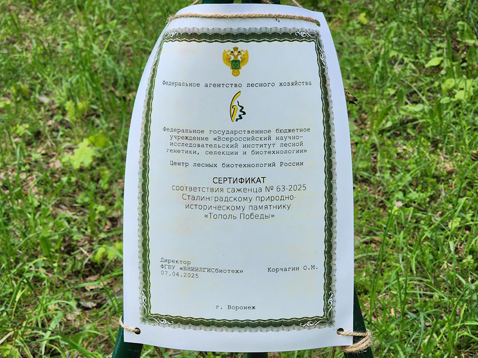 Фото: МедиаБанк Подмосковья/Роман Савельев