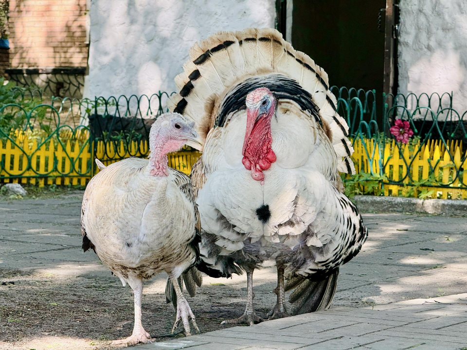 Фото: Ольга Стаферова