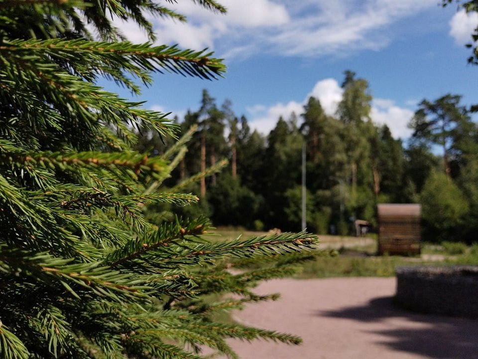 Фото: Единая дирекция парков городского округа Мытищи