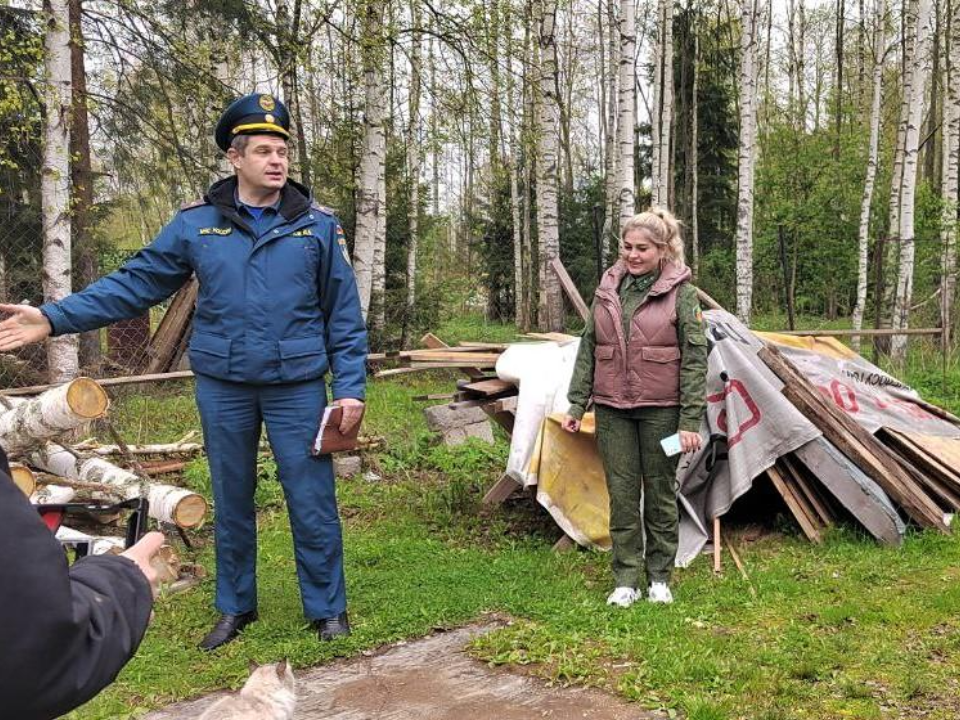 Фото: Комитет лесного хозяйства МО