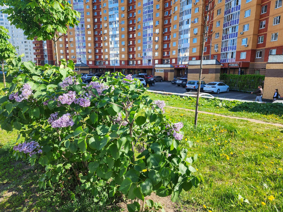 Фото: Мария Андрюхина