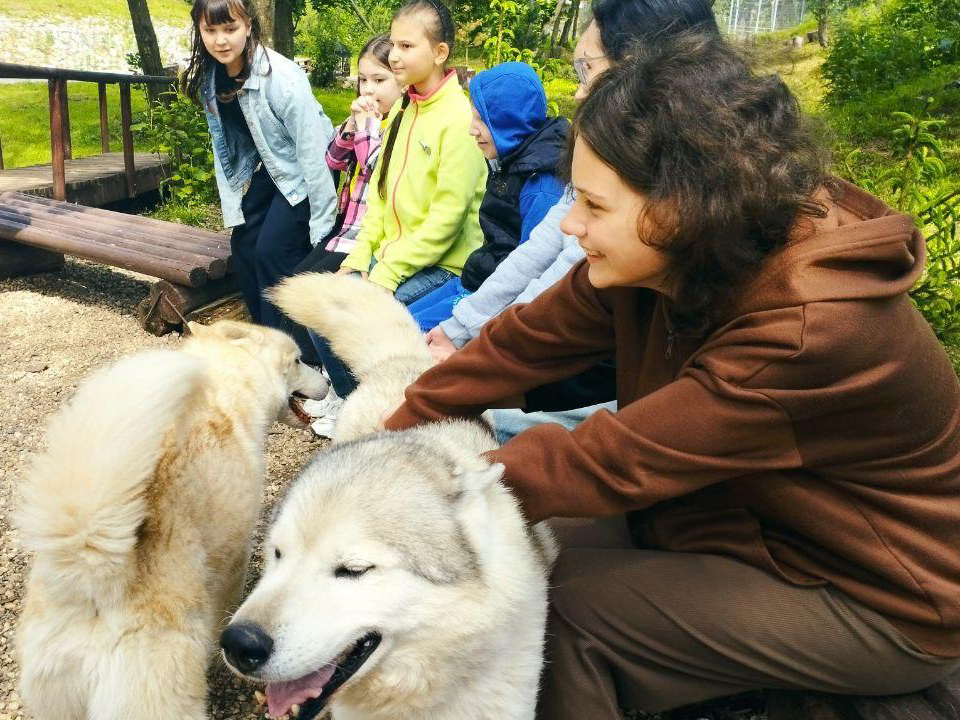 Фото: МедиаБанк Подмосковья/Ольга Шеметова