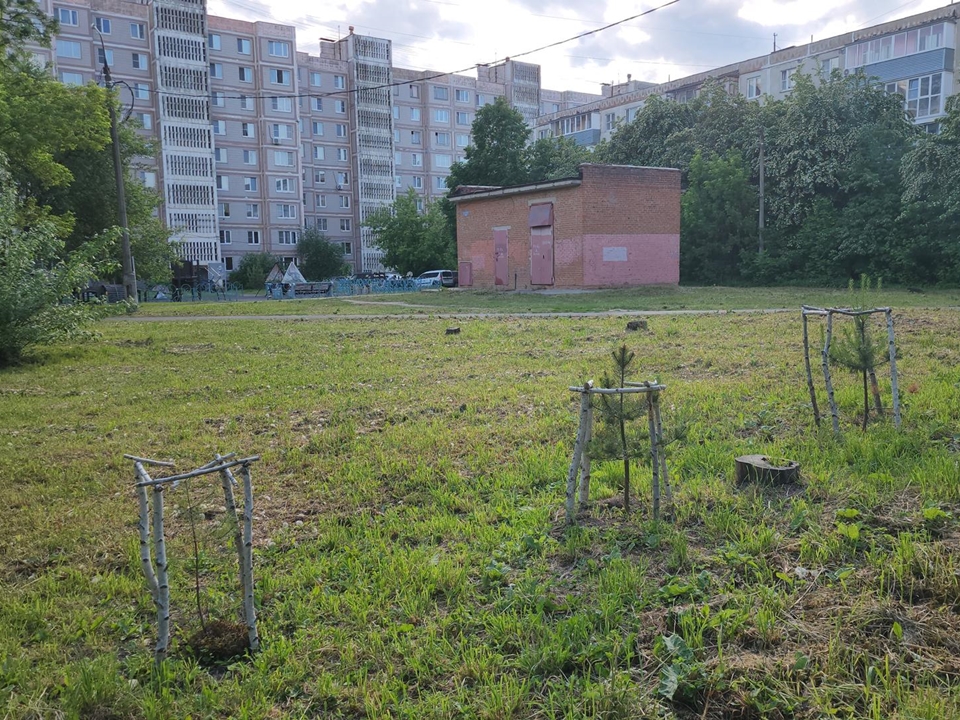 Фото: REGIONS/Александр Степушкин