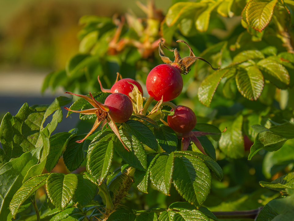 Фото: istockphoto.com