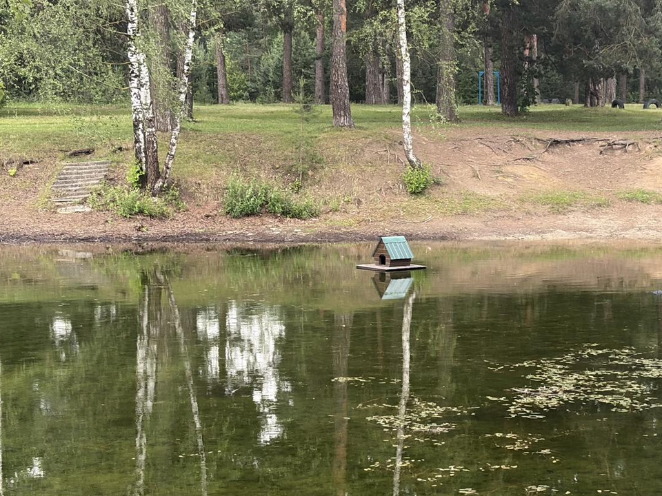 Фото: Анна Нестерова