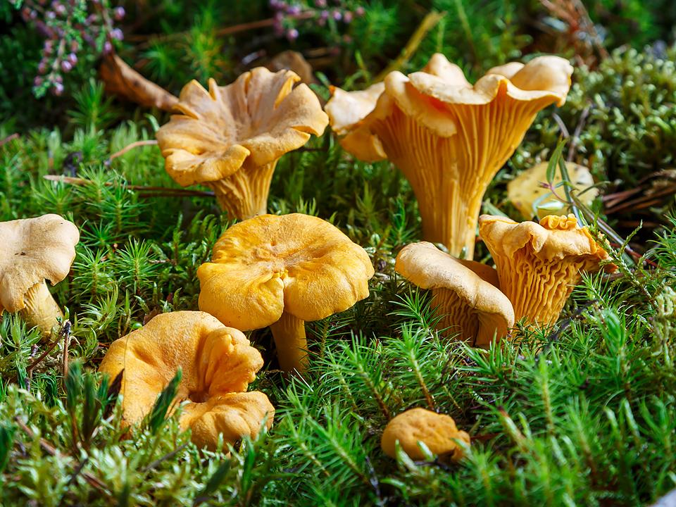 Фото: istockphoto.com