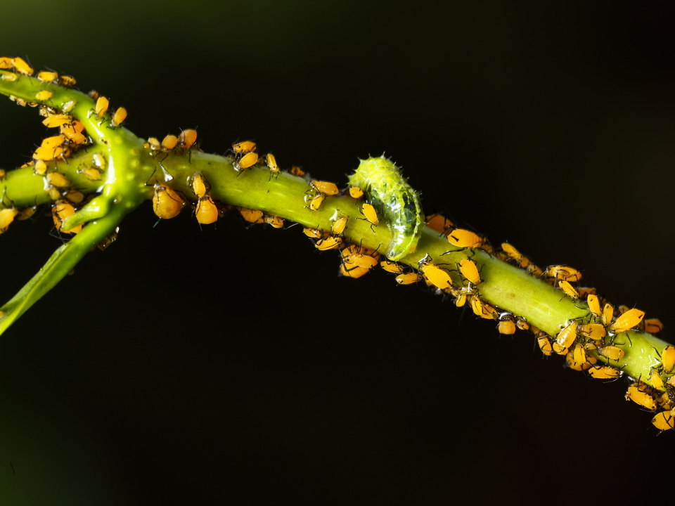 Фото: freepik.com