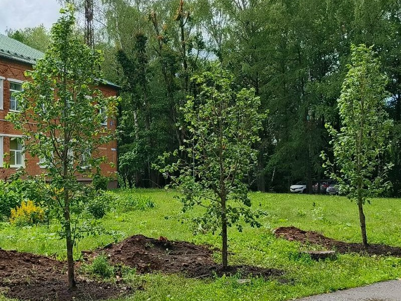 Фото: пресс-служба администрации Наро-Фоминского г.о.    
