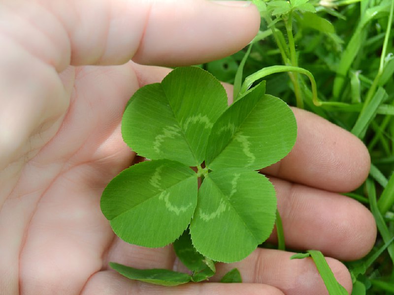   Фото: istockphoto.com