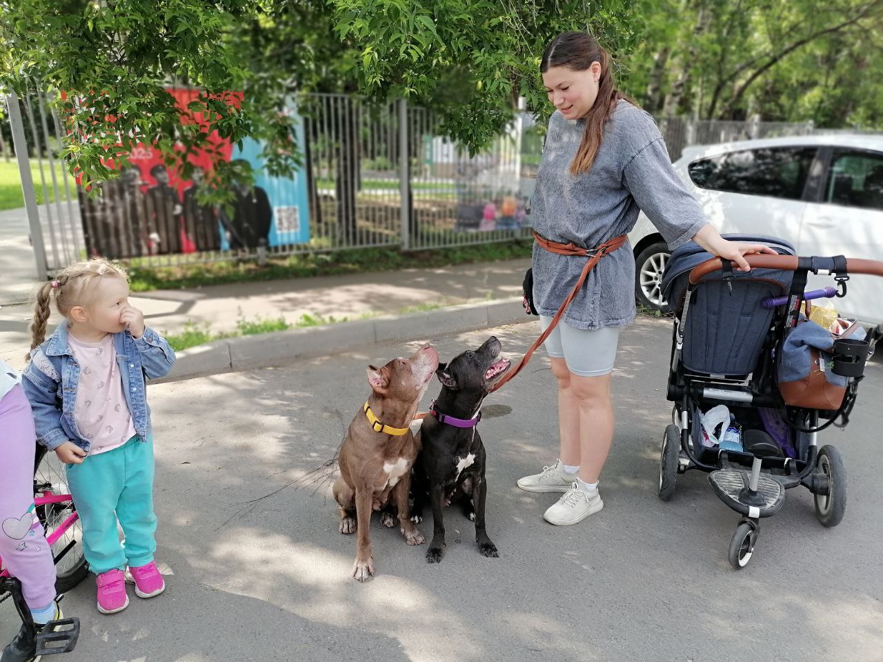 Фото: МБУК  «Городской парк культуры и отдыха»