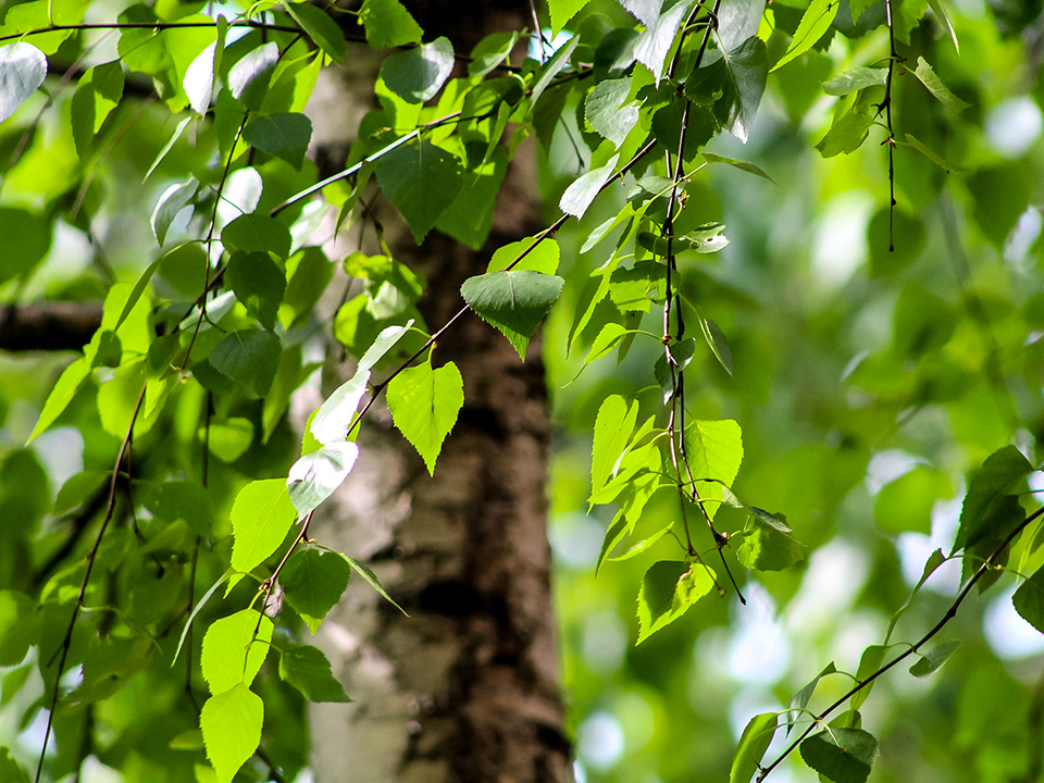 Фото: istockphoto.com