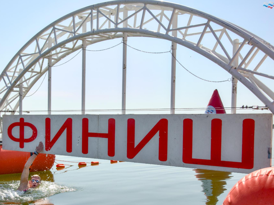 Фото: Федерация водных видов спорта России
