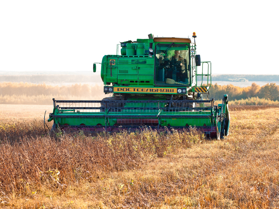 Комбайн на гречишном поле. Фото: соцсети