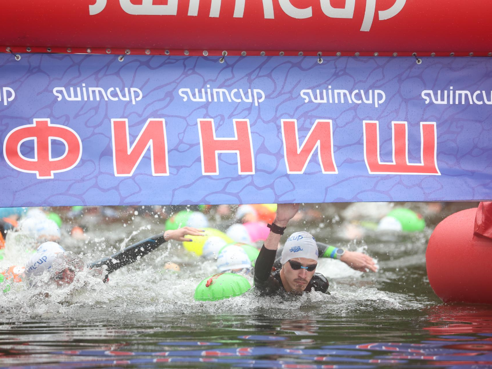 Фото: Кубок чемпионов Swimcup