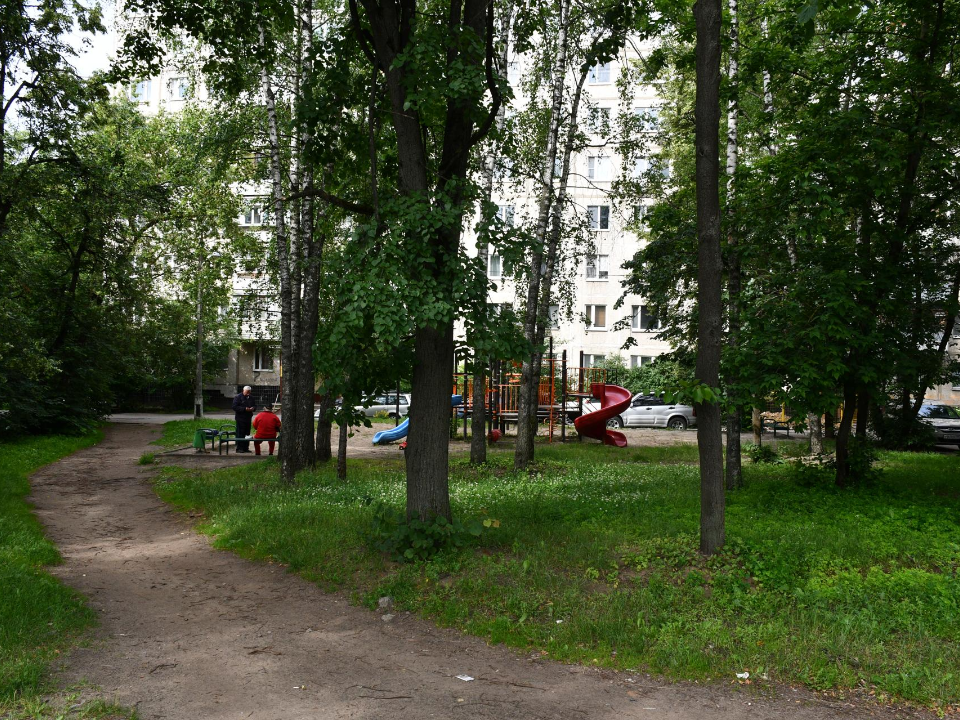Фото: пресс-служба администрации г.о. Жуковский 