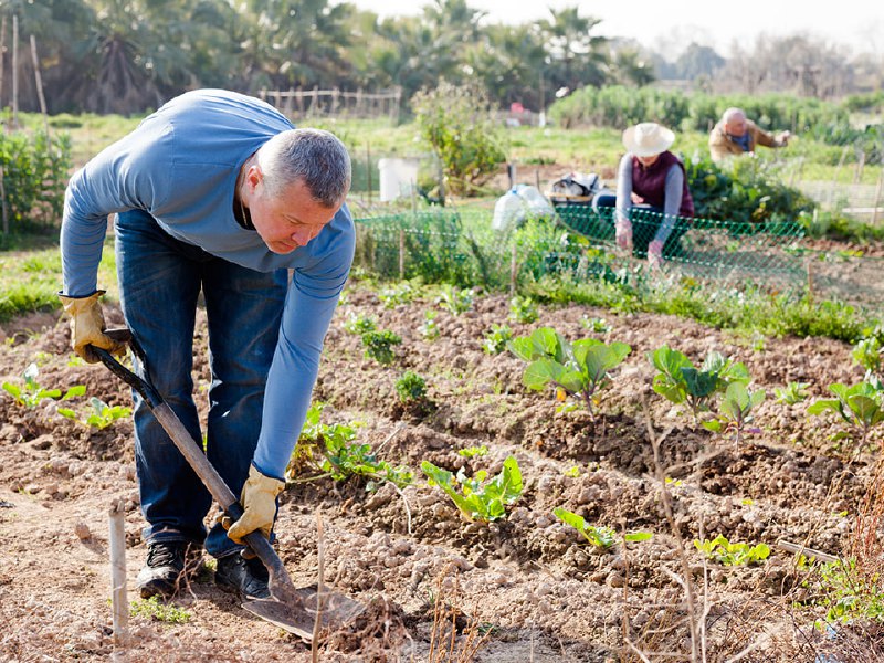   Фото: istockphoto.com