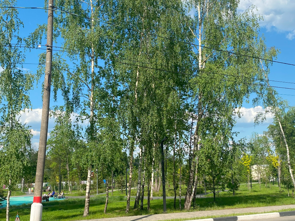 Фото: Игорь Бедин, Вадим Разумов, Дмитрий Зеньков, Александр Белов