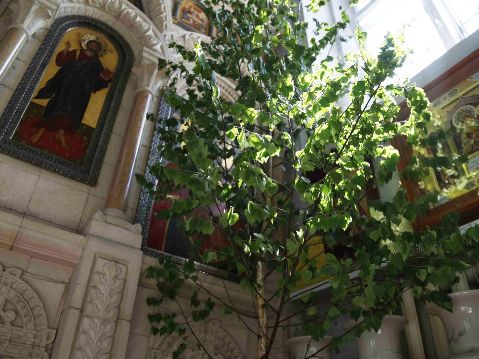 Фото: пресс-служба Богородского благочиния.