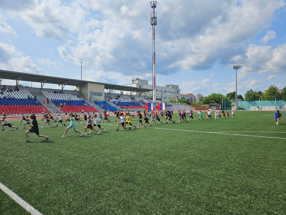 Фото: МАУ "Спортклуб "Кашира" имени Н.П. Елисеева