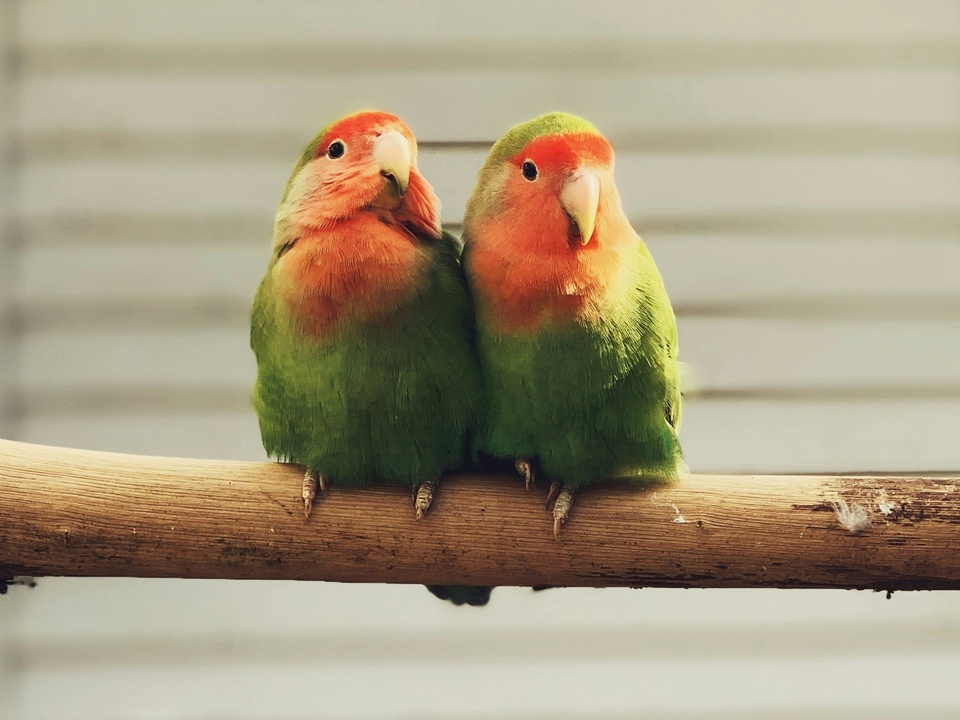 Фото: unsplash.com