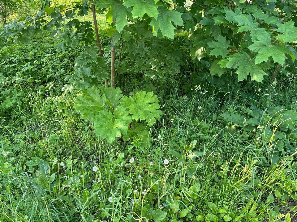 Фото: заместитель главы городского округа Мытищи Артур Суворов