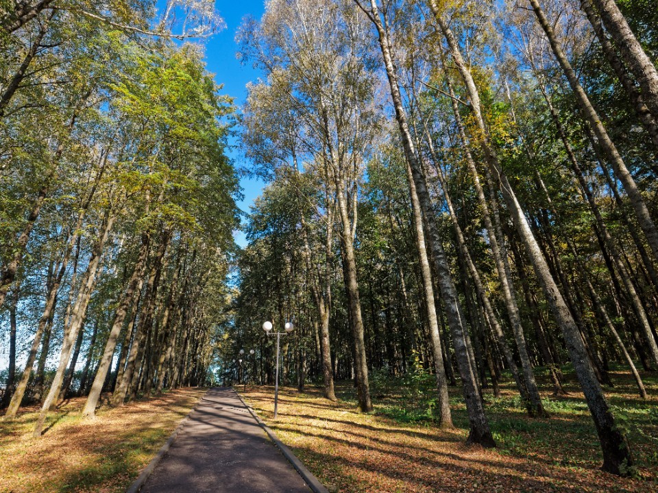 Фото: медиасток.рф