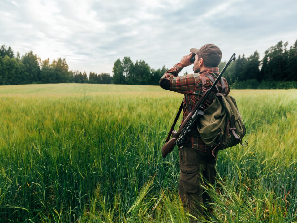 Фото: istockphoto.com