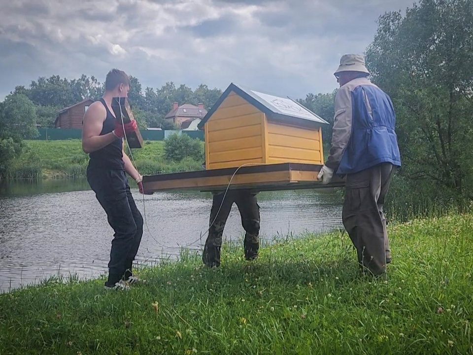 Фото: Ольга Антонова