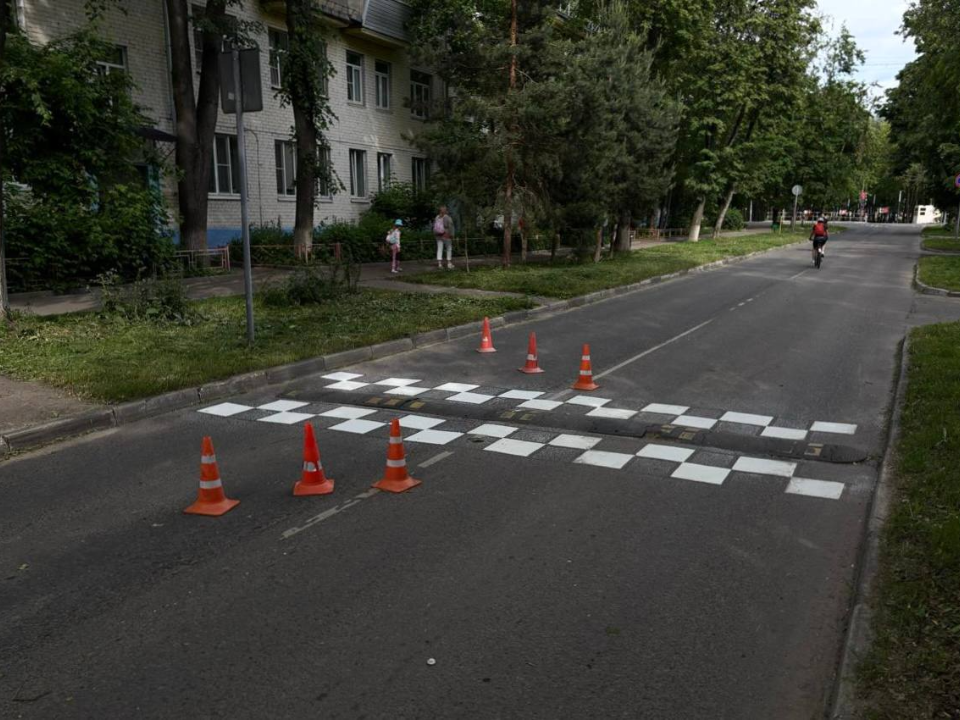 Фото: пресс-служба администрации г.о. Лобня