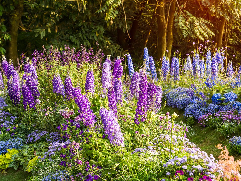 Фото: istockphoto.com