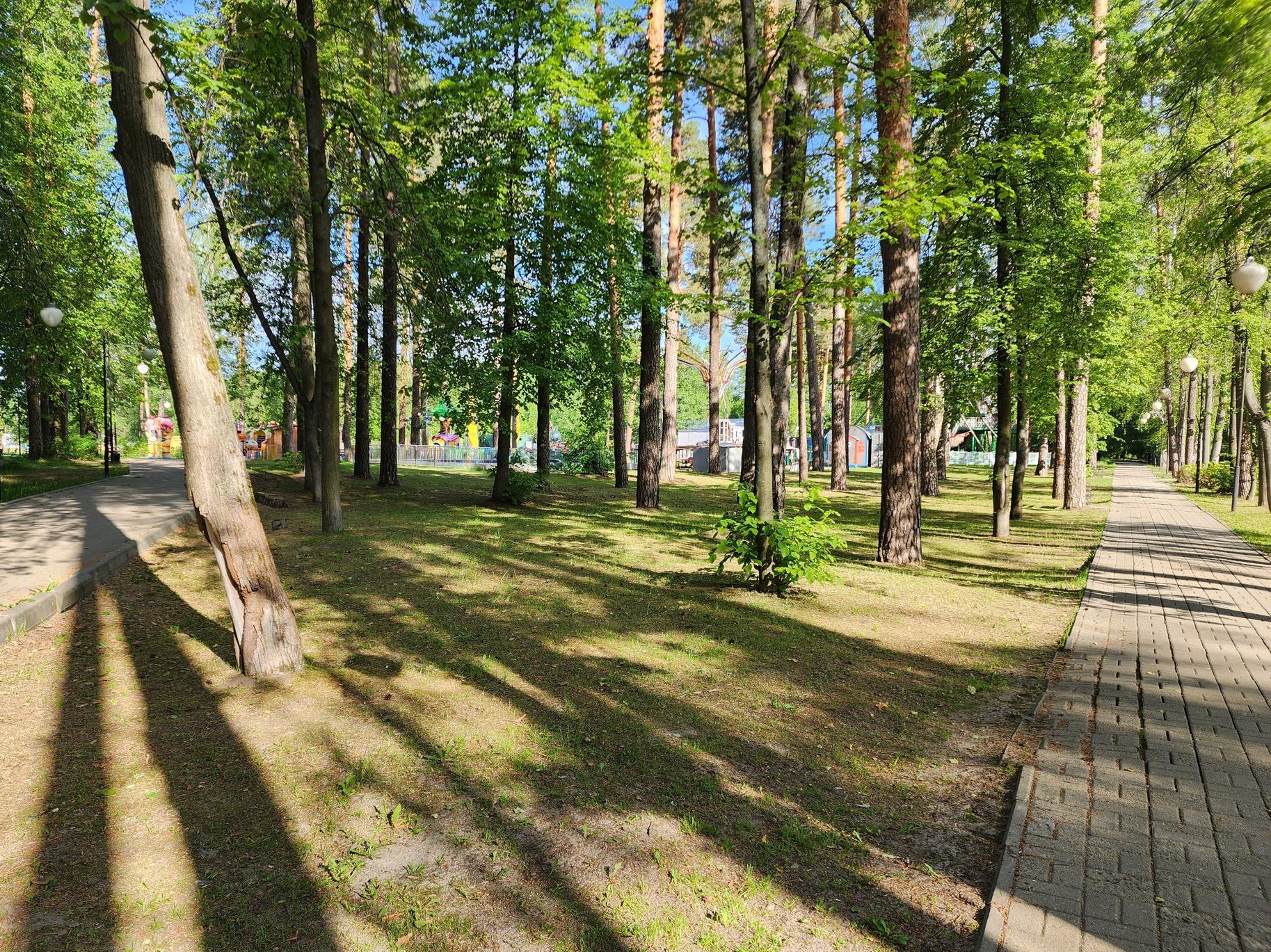 Фото: МедиаБанк Подмосковья/Вера Коренева