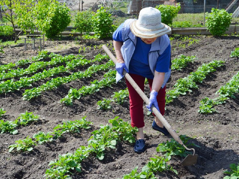   Фото: istockphoto.com