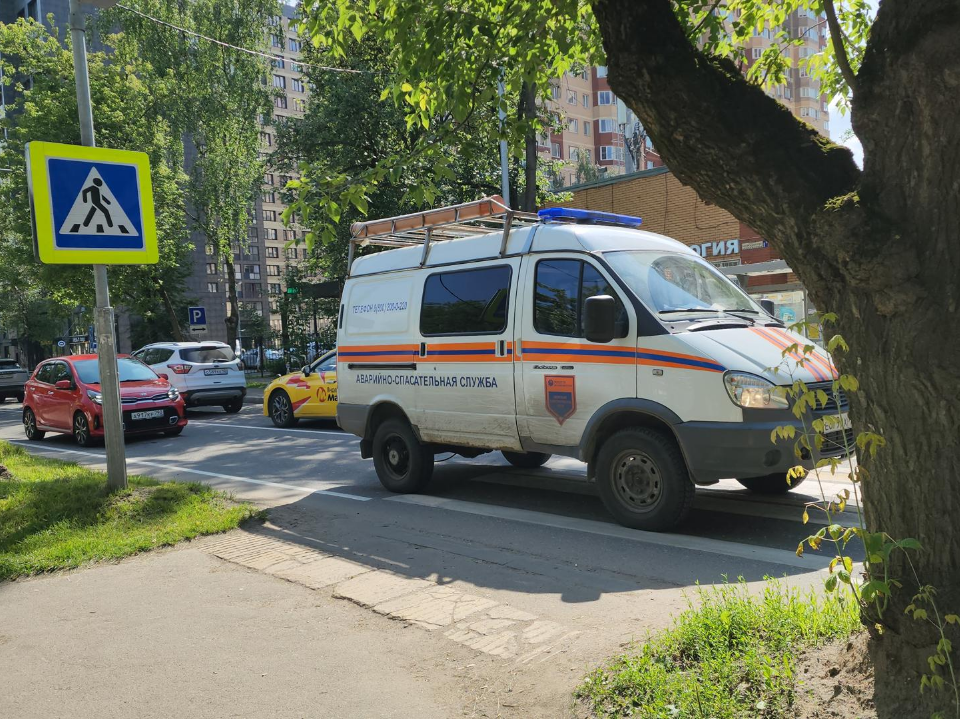 Фото: REGIONS/Артем Мишуков