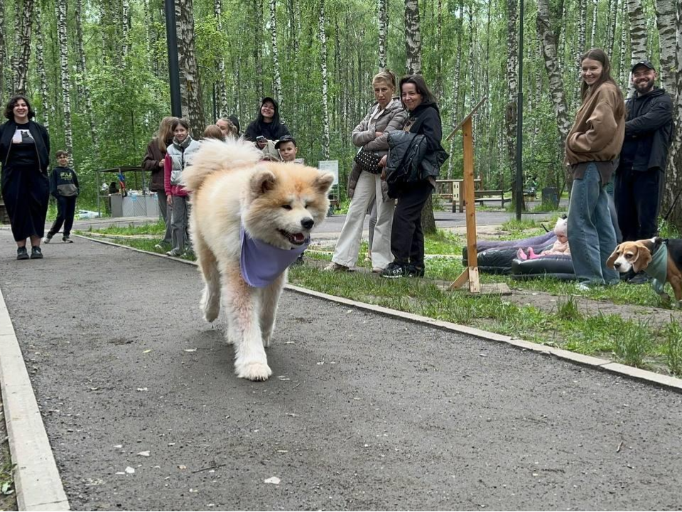Фото: Эдуард Стратонов