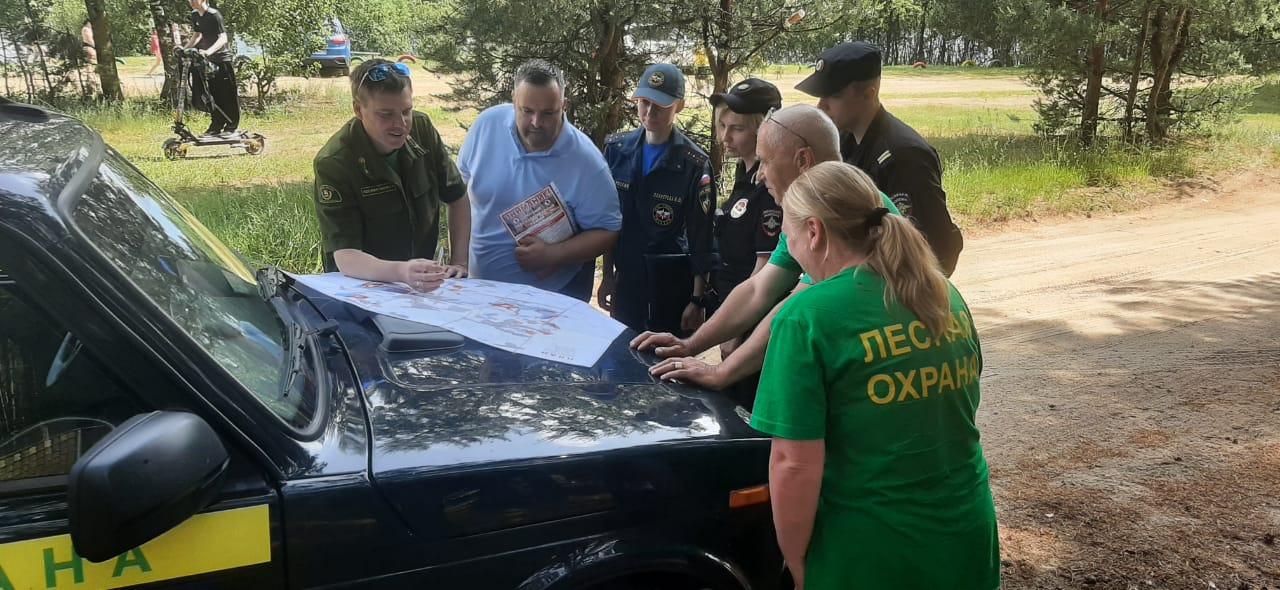 Фото: Комитет лесного хозяйства Московской области