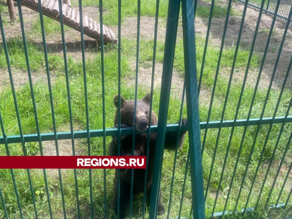Фото: REGIONS
