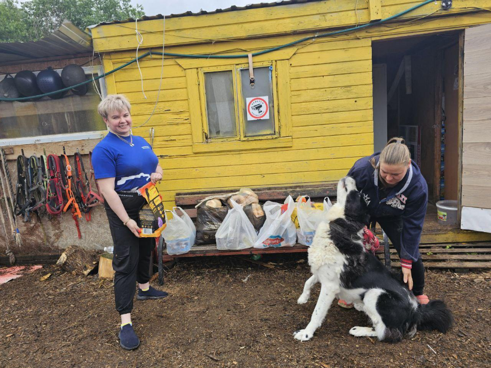 Фото: t.me/ER_Balashiha_news