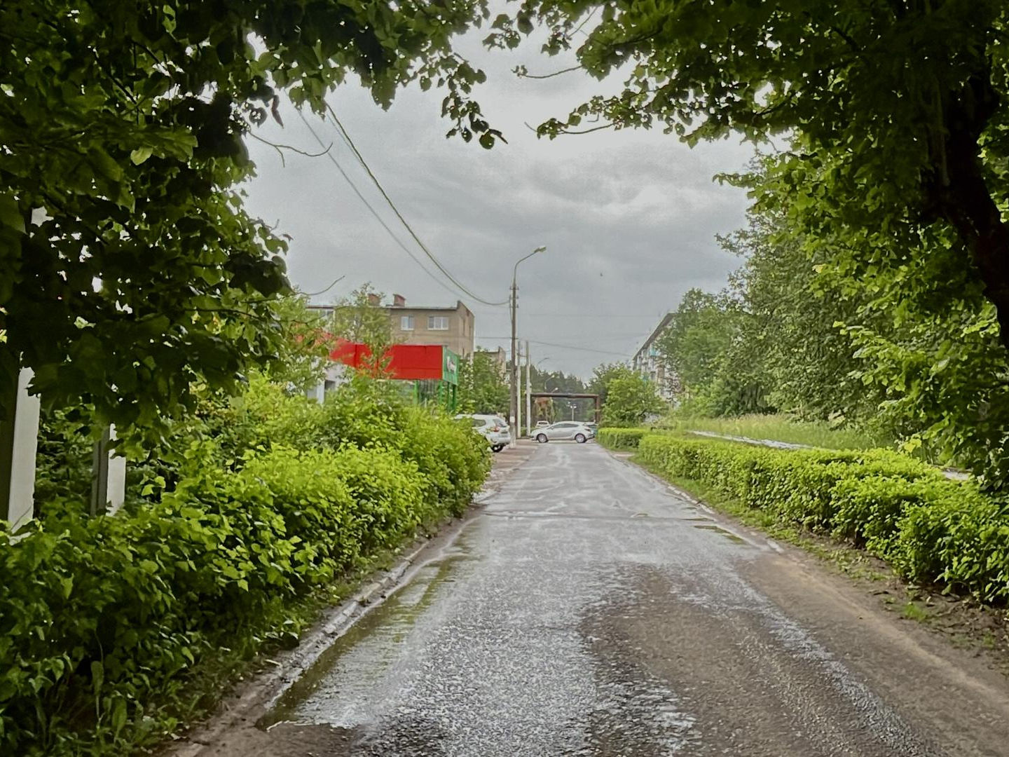 Фото: Анна Тюрюмина   