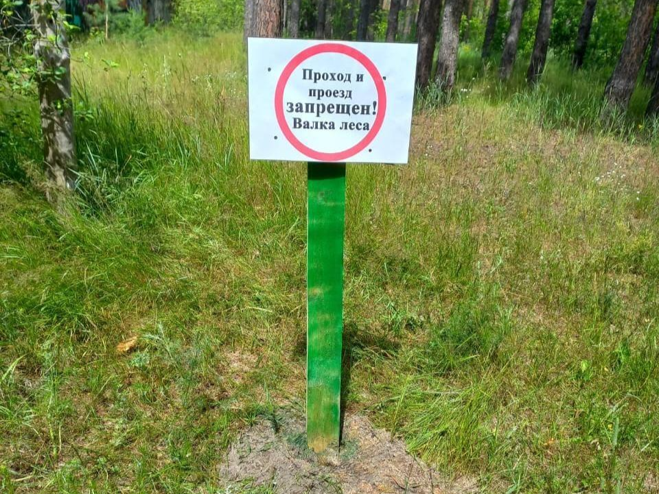 Фото: Комитет лесного хозяйства Московской области