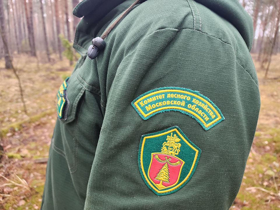 Фото: МедиаБанк Подмосковья/Оксана Лапшина