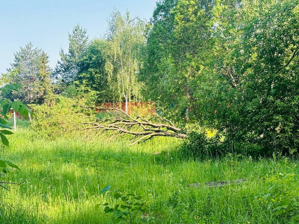 Фото: заместитель главы городского округа Мытищи Артур Суворов