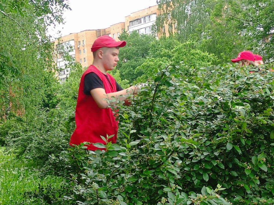 Фото: Молодежный центр г. о. Электросталь
